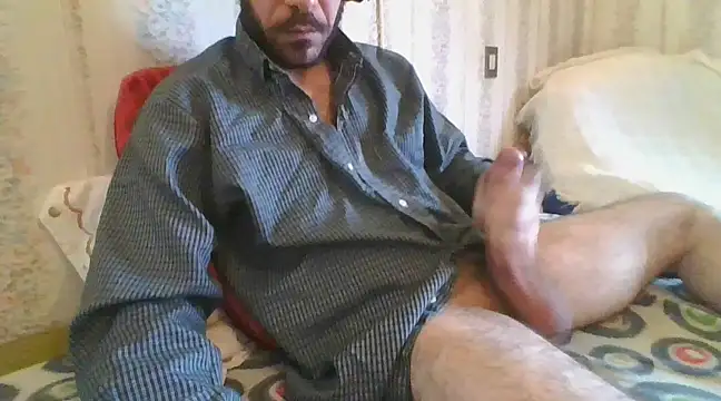 tozebrito hd online show from 02/09/25, 09:37