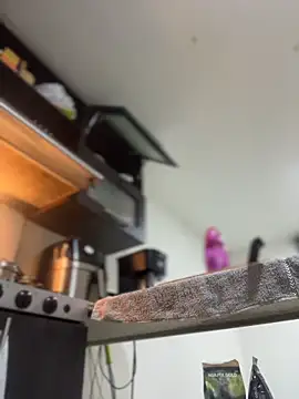 JulianaCastillo online show from 04/02/26, 09:18