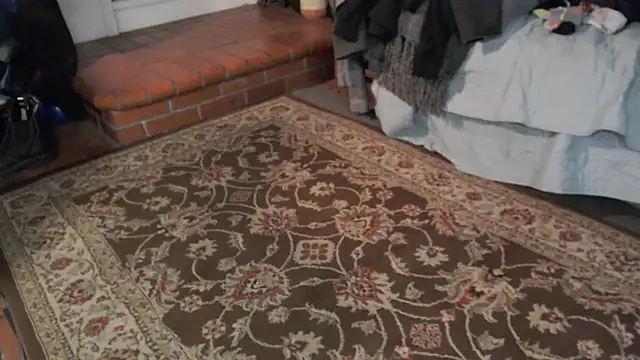 Dark Asteroid online show from 03/05/26, 12:23