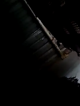 Moreno1813 online show from 02/09/25, 08:33