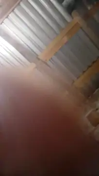 Moreno1813 online show from 11/05/25, 06:13