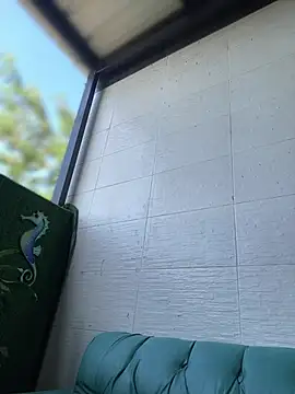 AleezaFrench online show from 01/20/25, 08:29