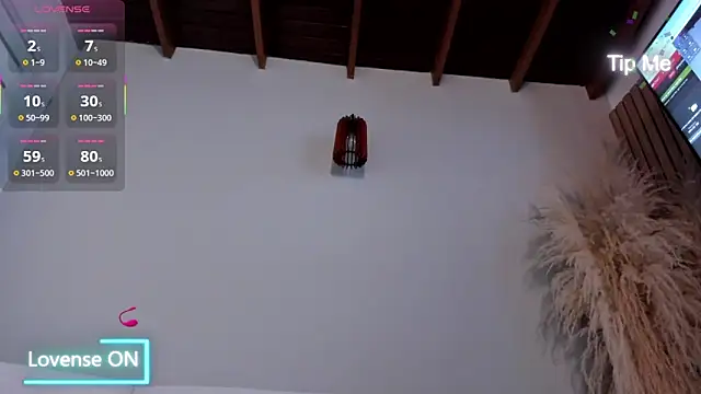 Snapshot of neo_dimou_ chatting on 11/25/25, 11:10 neo dimou online show from 11/25/25, 11:10