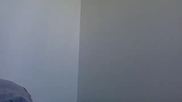 molozeb online show from 02/08/26, 08:40