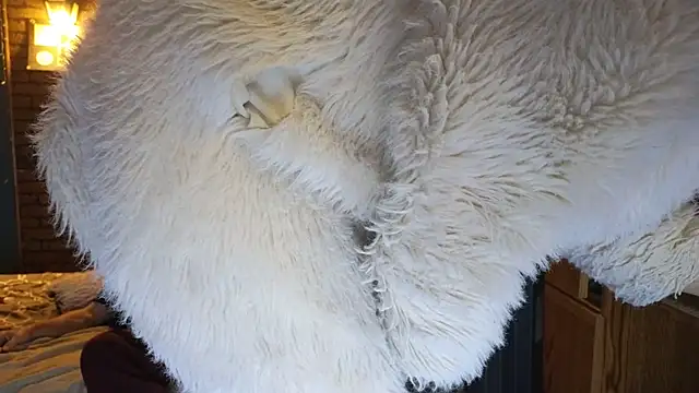 PropertyAndBiker online show from 12/07/24, 02:20