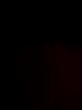 Snapshot of FantasticWonders9 chatting on 11/25/25, 12:21 FantasticWonders9 online show from 11/25/25, 12:21