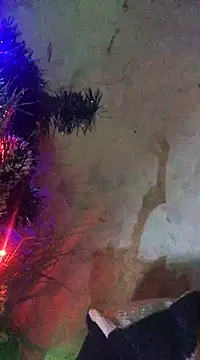 ChantalXOrchid online show from 01/15/25, 10:13