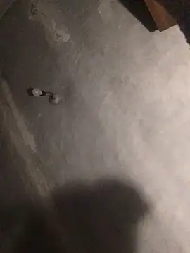 ChantalXOrchid online show from 04/17/26, 08:23