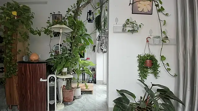 Oliver Nl online show from 03/03/26, 04:07