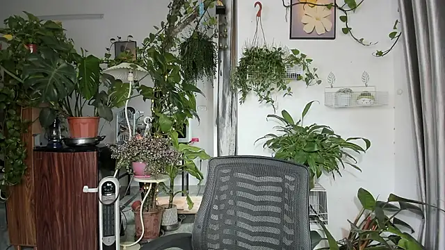 Oliver Nl online show from 03/14/26, 05:24