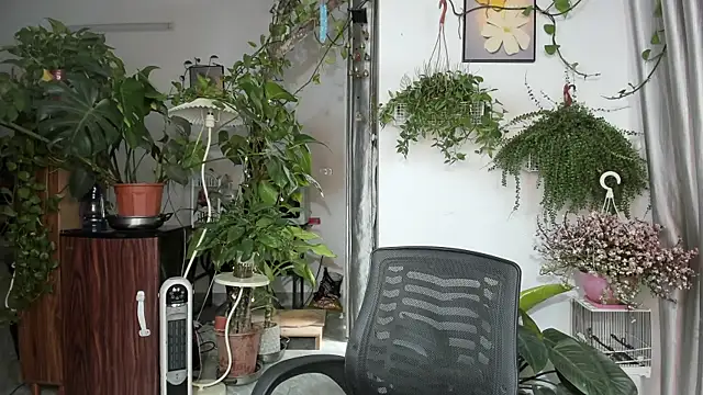 Oliver Nl online show from 03/27/26, 03:45