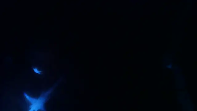 perversalus online show from 05/09/26, 01:22