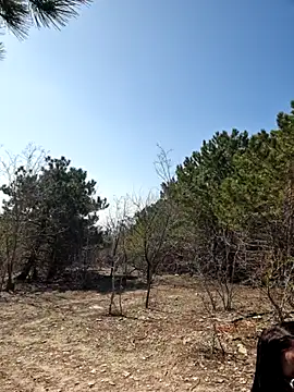 -Pupsiki- online show from 03/13/26, 08:10