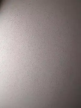 Dogz n daugthers online show from 12/17/24, 07:48