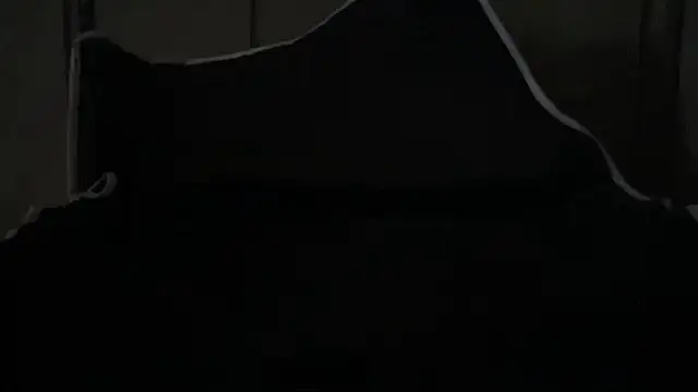 Dogz n daugthers online show from 04/01/26, 02:25