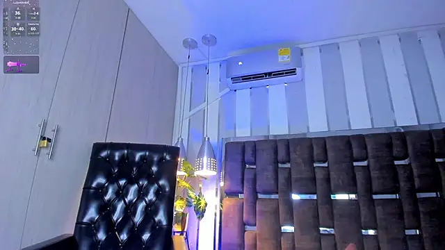 Snapshot of Maximo__ chatting on 09/24/25, 09:29 Maximo online show from 09/24/25, 09:29