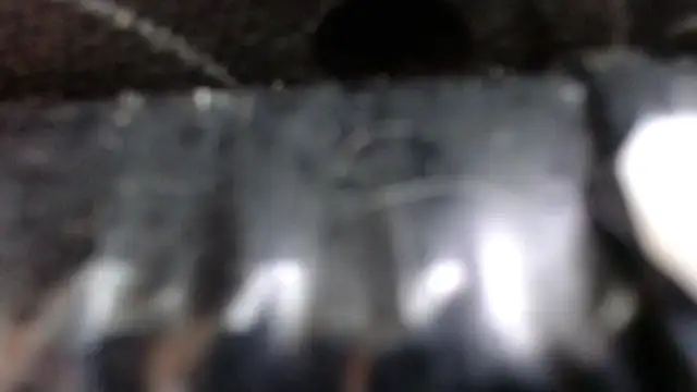 SaraMartins00 online show from 12/14/24, 09:45