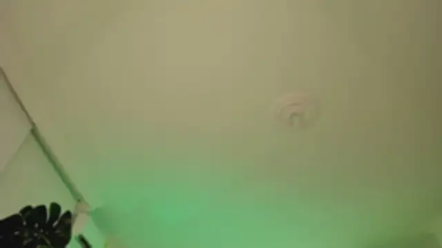 Taylor  foxxx online show from 03/06/25, 04:08