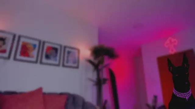 Taylor  foxxx online show from 11/14/25, 04:22