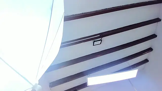 Snapshot of Oriana_Guzman chatting on 02/22/25, 06:41 Oriana Guzman online show from 02/22/25, 06:41