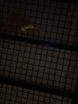 Snapshot of SexyB214 chatting on 12/14/24, 12:44 SexyB214 online show from 12/14/24, 12:44