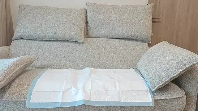 Ema japanese online show from 11/20/25, 06:13