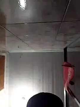 Adee21e online show from 11/17/25, 08:47