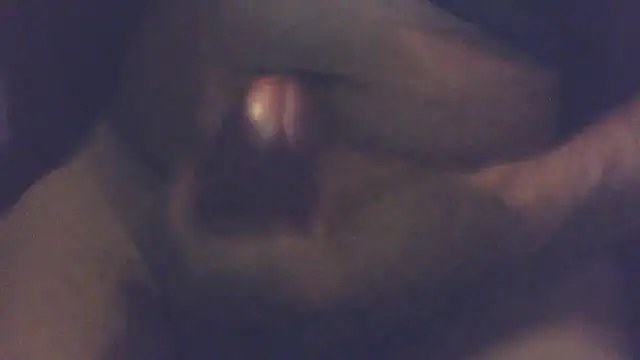 AllllYoursGirls online show from 07/28/26, 08:52