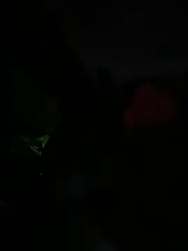 Snapshot of Brunettexio chatting on 03/13/25, 12:16 Brunettexio online show from 03/13/25, 12:16