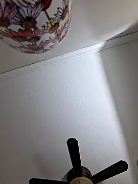 Snapshot of Zander823 chatting on 02/03/26, 11:10 Zander823 online show from 02/03/26, 11:10