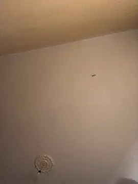 Snapshot of ClatteryPrexy chatting on 12/16/24, 04:27 ClatteryPrexy online show from 12/16/24, 04:27