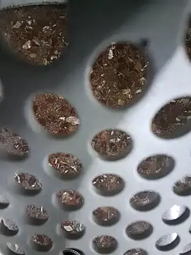 SexyErola27 online show from 12/06/24, 11:11