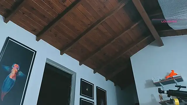 SilvaBranko online show from 03/14/26, 12:06