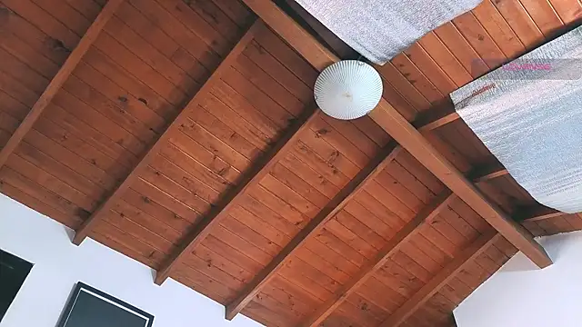 SilvaBranko online show from 03/14/26, 08:03