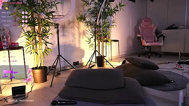 VanessaSimon online show from 01/25/25, 11:44