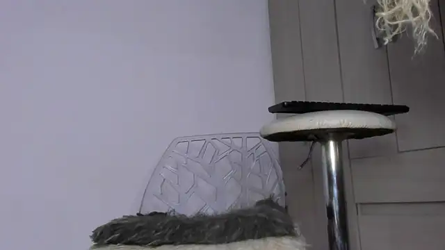 Kendall Hotsexy x online show from 05/20/26, 07:03