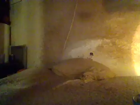 Nightshade7712 online show from 02/19/25, 07:06