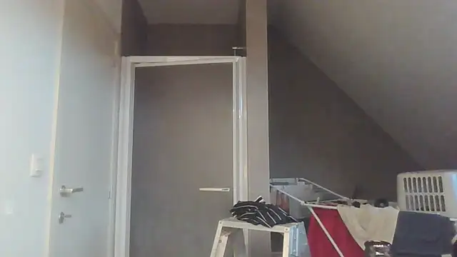 Vekie 007 online show from 07/17/26, 04:08