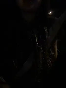 Snapshot of -mirai- chatting on 02/28/25, 03:04 -mirai- online show from 02/28/25, 03:04