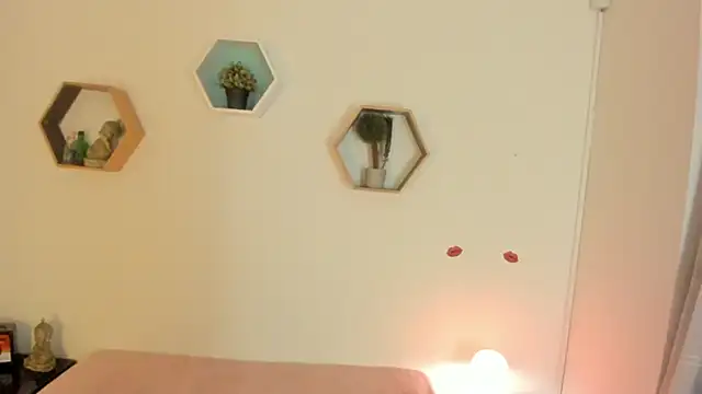 Paloma victory online show from 03/07/26, 08:50