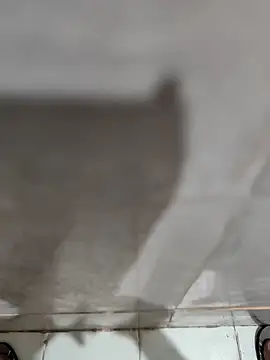 joejoe7 online show from 11/17/25, 01:33