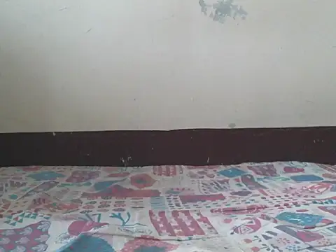 Snapshot of triangle0623 chatting on 11/03/25, 08:37 triangle0623 online show from 11/03/25, 08:37