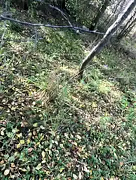 Snapshot of Sirina80 chatting on 10/19/25, 11:55 Sirina80 online show from 10/19/25, 11:55