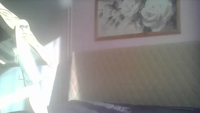 SunElizabeth online show from 06/12/26, 02:43