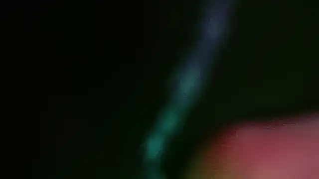 Snapshot of Ultorahand_xoxo chatting on 12/21/24, 09:33 Ultorahand xoxo online show from 12/21/24, 09:33