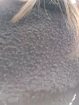 Violeta 12- online show from 03/18/25, 07:31