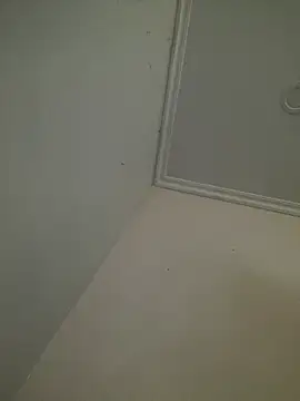 CieloTaylor online show from 02/25/26, 10:25