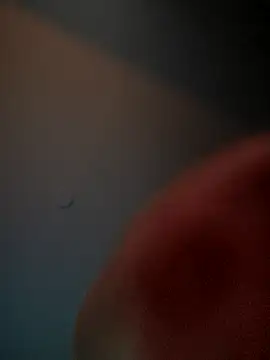 lolabun247 online show from 11/02/25, 10:50