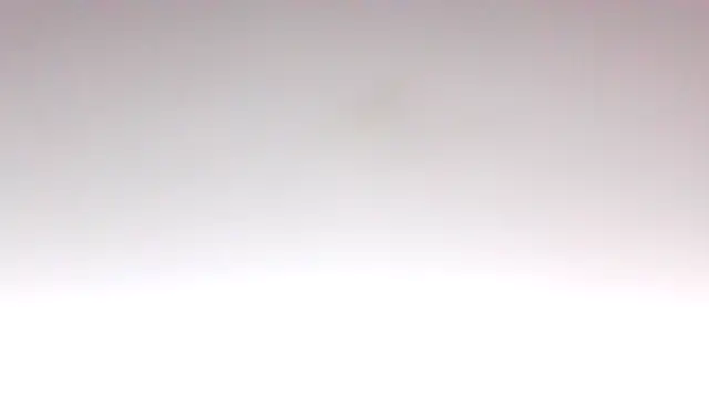 kikkastar online show from 12/18/25, 08:48