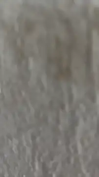 Ishikarana online show from 10/08/25, 05:05